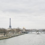 The Seine and Eiffel Tower